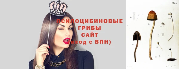 бошки Покачи