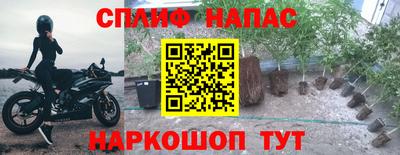 PSILOCYBIN Абакан