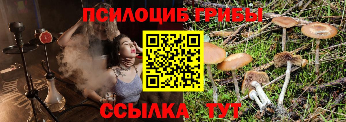 Соликамск  Галлюциногенные грибы прущие грибы  Вход с VPN 