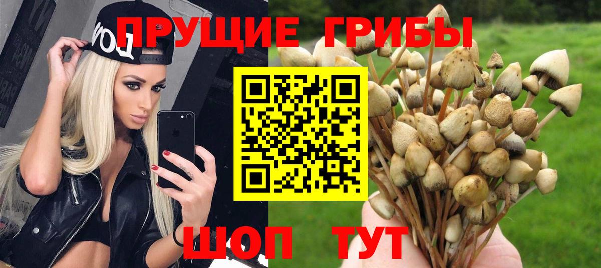 Псилоцибиновые грибы мицелий Соликамск