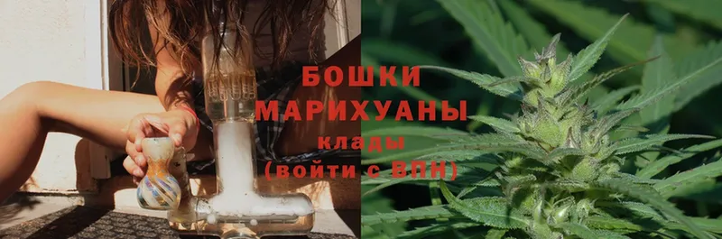 МАРИХУАНА SATIVA & INDICA  сколько стоит  Соликамск 